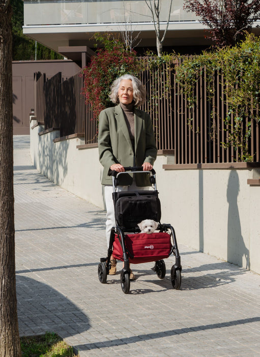 Citywalker Storage & Pet Carrier van Playcare